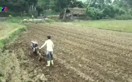 Hỗ trợ phục hồi sản xuất nhanh sau thiên tai tại miền núi phía Bắc