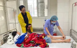 Truyền huyết thanh kháng độc cứu bệnh nhân bị rắn độc cắn