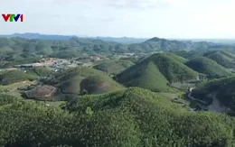 Ứng dụng công nghệ trong quản lý và bảo vệ rừng