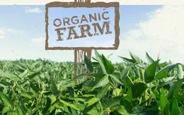 Thực phẩm hữu cơ có thực sự bổ dưỡng hơn?