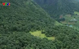 Phát triển du lịch sinh thái kết hợp với giữ rừng