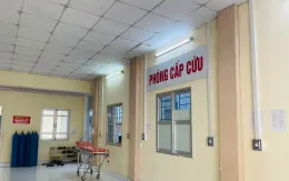 Bộ Y tế: Điều tra, xử lý vụ nghi ngờ ngộ độc thực phẩm trên địa bàn TP Vũng Tàu