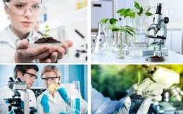 Phát triển công nghiệp sinh học trong lĩnh vực bảo vệ môi trường theo hướng bền vững, thân thiện