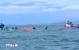 Cứu sống 10 ngư dân trên tàu cá bị sóng lớn đánh chìm