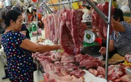 Giá thịt lợn tăng cao trước Tết