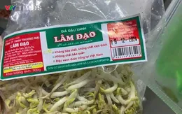 Cần làm rõ trách nhiệm liên quan vụ giá đỗ "ngậm" chất cấm ở Đắk Lắk