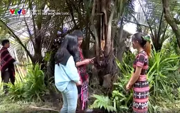 A Lưới - Vẻ đẹp của miền sơn cước