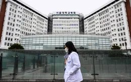 Thị trường liệu pháp tế bào gốc Hàn Quốc nằm trong nhóm dẫn đầu châu Á