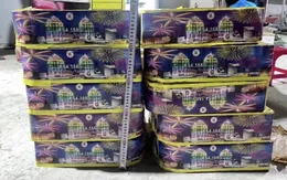 TP Hồ Chí Minh: Học sinh cam kết không đốt pháo dịp Tết