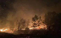 Cháy lớn trên núi Phật Tích, Bắc Ninh