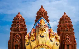 Cận cảnh rắn thần Naga 5 đầu ở Bình Định