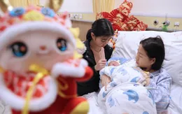 Trung Quốc lo ngại tỷ lệ sinh giảm sau cơn sốt sinh con tuổi Rồng