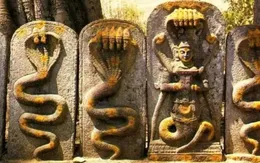 Khám phá hình tượng huyền bí của con rắn trong các nền văn hóa thế giới