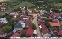 Buôn làng Tây Nguyên khởi sắc