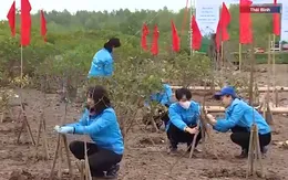 Trồng cây hưởng ứng Ngày đất ngập nước thế giới