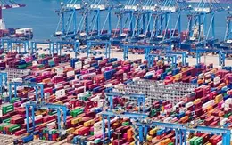 Thương mại Việt Nam - Ấn Độ đạt xấp xỉ 15 tỷ USD trong năm 2024