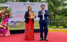 Trao biểu trưng “Làng du lịch tốt nhất năm 2024” cho làng rau Trà Quế