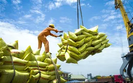 Việt Nam có 158 thương nhân xuất khẩu gạo