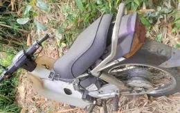 Phát hiện một thi thể trong tư thế treo cổ đang phân huỷ trong rừng