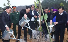 Tết trồng cây: Nét văn hóa đầu xuân năm mới