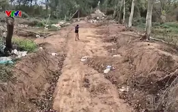 Hà Nội: Tuyến đê bao bảo vệ cho hơn 400 hộ dân ở Đông Anh bị hư hỏng, sạt trượt