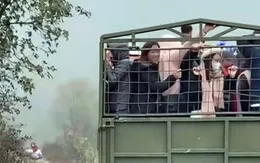 Tài xế chở người trên thùng xe ngắm hoa mận ở Sơn La