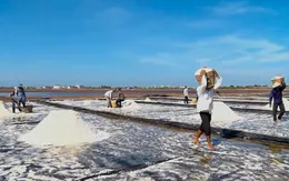 Bạc Liêu sẵn sàng cho Festival nghề Muối Việt Nam