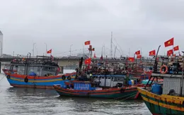 Ngư dân rộn ràng vươn khơi đánh bắt đầu năm