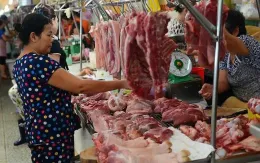 Áp lực khi giá lợn liên tục tăng