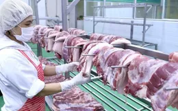 Cần có sàn giao dịch điện tử trong cung ứng thịt lợn