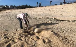 Phát hiện một phần thi thể nữ giới ở bờ biển Ninh Thuận