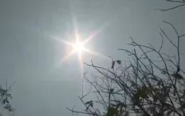 Đồng bằng sông Cửu Long dồn lực ứng phó cháy rừng trong mùa khô