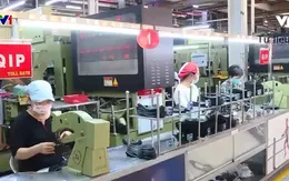 Sôi động thị trường lao động