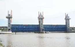 Xây dựng phương án giải quyết tổng thể vấn đề hạn mặn vùng đồng bằng sông Cửu Long