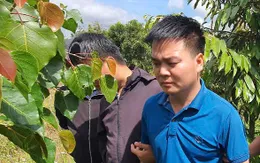 Vụ tu hành "đắc đạo thành tiên" ở Đắk Lắk: Lợi dụng tâm linh để chiếm đoạt tài sản