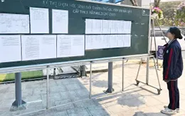 Hà Nội công bố giải học sinh giỏi thành phố các môn văn hóa lớp 9