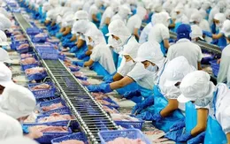 Doanh nghiệp thủy sản tăng tốc sản xuất