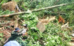 Quảng Nam liên tục xảy ra động đất