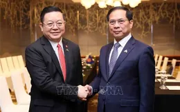 Phó Thủ tướng, Bộ trưởng Ngoại giao Bùi Thanh Sơn gặp Tổng Thư ký ASEAN