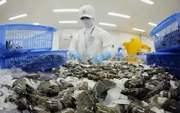 Lạc quan hoạt động xuất nhập khẩu đầu năm