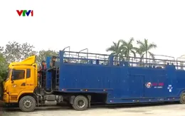 Vướng mắc xin cấp phép vận chuyển hàng quá khổ, quá tải, doanh nghiệp gặp khó