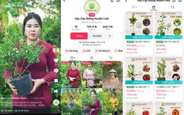 Hơn 5.600 sản phẩm OCOP được bán trên nền tảng TikTok Shop