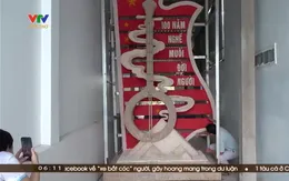 Độc đáo tác phẩm điêu khắc cây đờn kìm làm bằng muối