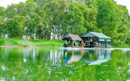 Tạo sinh kế cho 50 nghìn hộ dân xung quanh Vườn quốc gia Tràm Chim