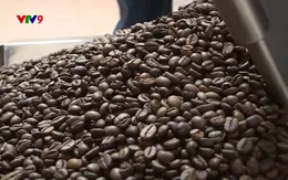 Xuất khẩu cà phê giảm về lượng, tăng giá trị