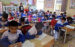 Miễn học phí cho học sinh: Động lực lớn cho học sinh nghèo