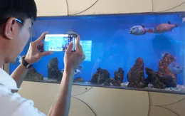 Khám phá thế giới đại dương: Tăng cường ý thức bảo tồn động thực vật biển