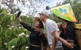 Nhiều đơn vị hưởng ứng phục vụ miễn phí cho du khách đến Lễ hội Cà phê Buôn Ma Thuột