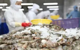 Việt Nam xuất khẩu tôm đến 107 thị trường