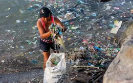 Thái Lan ra mắt máy tách vỏ chai lọ thông minh